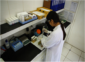 Análise prévia dos resíduos orgânicos