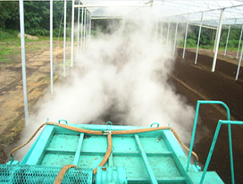 compostagem desprendimento