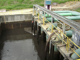 Elevatorial