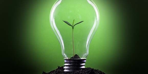 Como anda a parceria da sua empresa com o meio ambiente