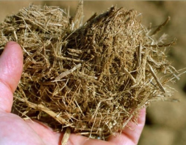 resíduos de cana-de-açúcar são usados para salgadinhos e cereais