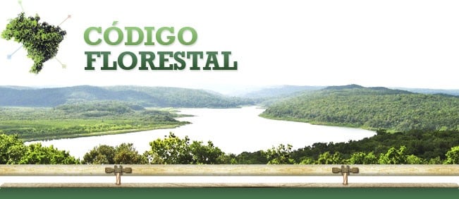 Fique por dentro do novo código florestal paulista