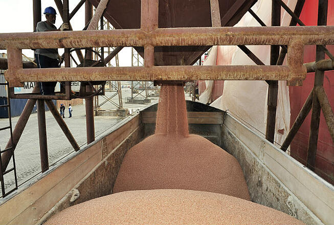 Fertilizante orgânico pode diminuir dependência de importação