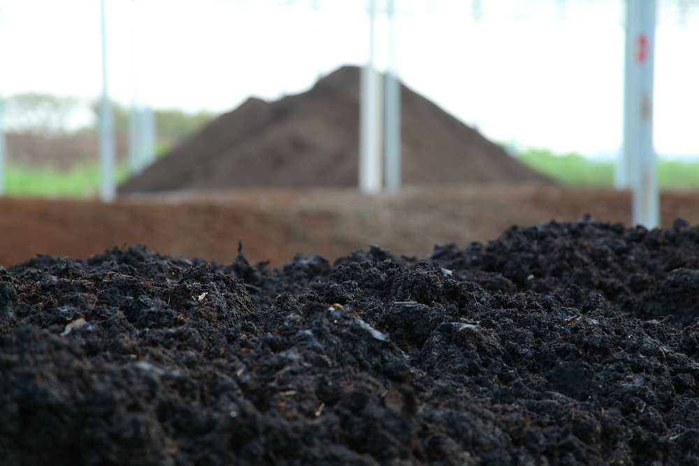 Fertilizante Orgânico Composto