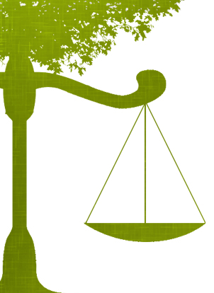 Legislação Ambiental