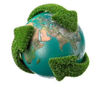 Dia Mundial do Meio Ambiente conscientiza sobre desperdício de comida