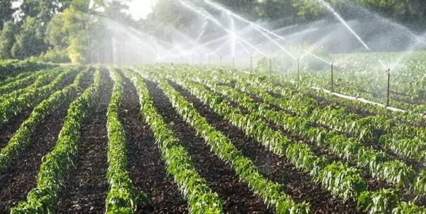 irrigação de água no brasil