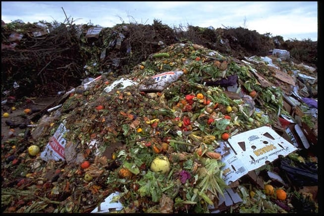 Metade da comida produzida no mundo vai parar no lixo