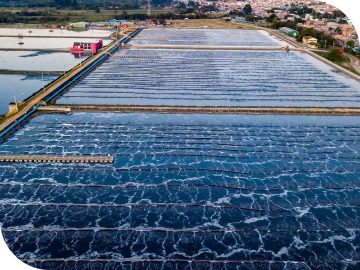 Lagoa de aeração