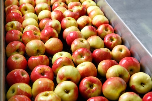  resíduos industria alimentícia