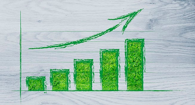 Investimentos com foco sustentável crescem no País