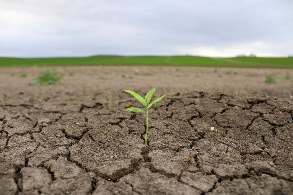 dia-mundial-do-meio-ambiente-2024