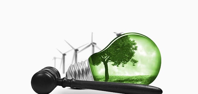 Corresponsabilidade ambiental - 3 motivos para ser diligente na contratação de serviços ambientais
