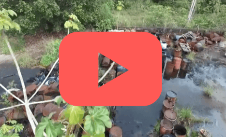 Reportagem Bom dia Brasil