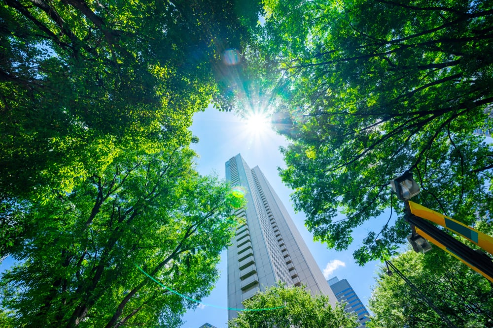 economia circular e esg