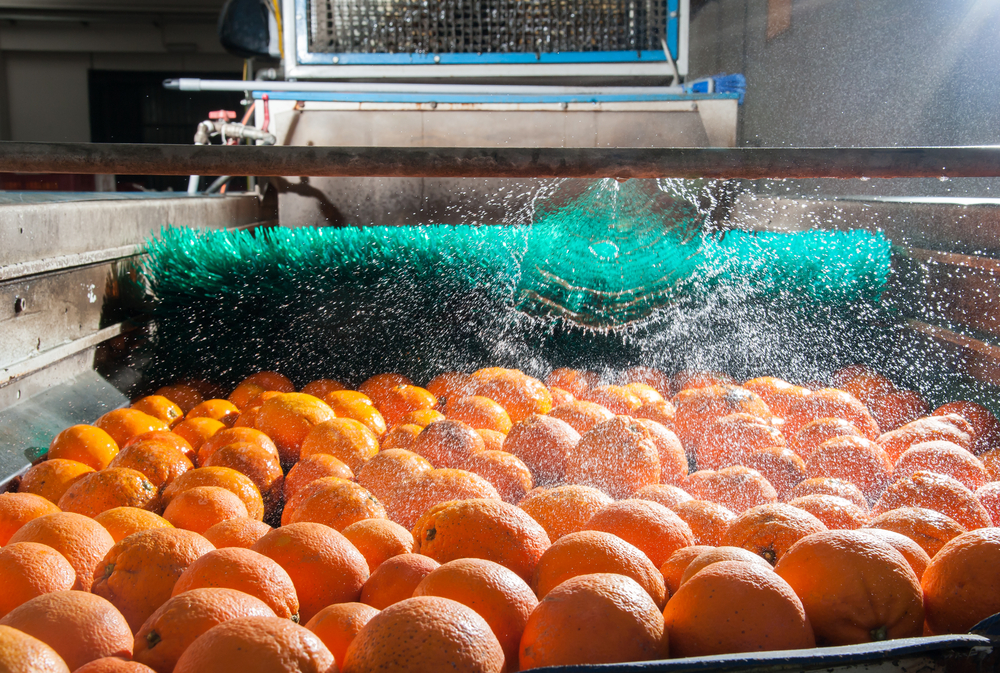  Efluentes de indústrias alimentícias 