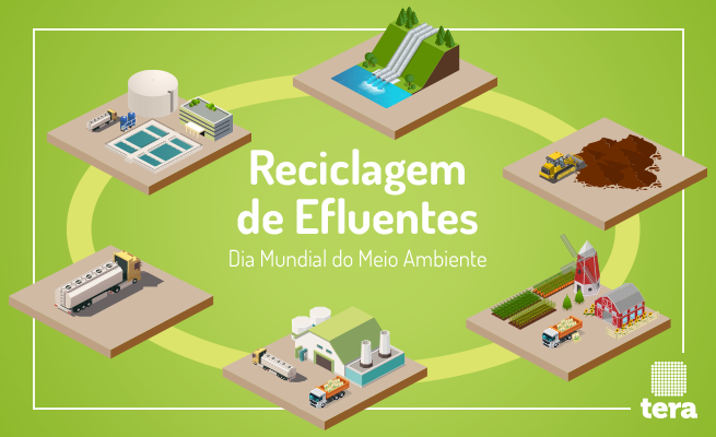 Dia Mundial do Meio Ambiente