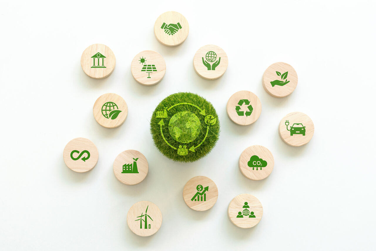 tipos-de-consultoria-ambiental